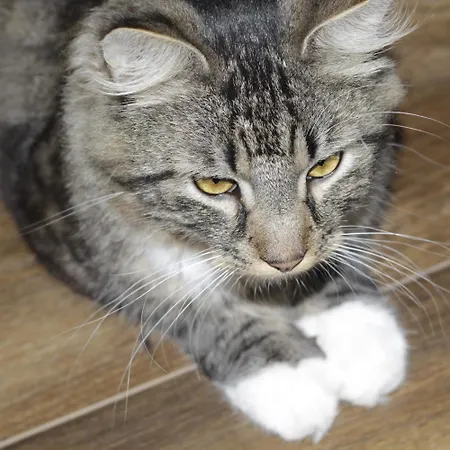 Lägenhet Urban22 - Urlaub Im Denkmal *