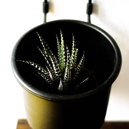 Lägenhet Urban22 - Urlaub Im Denkmal