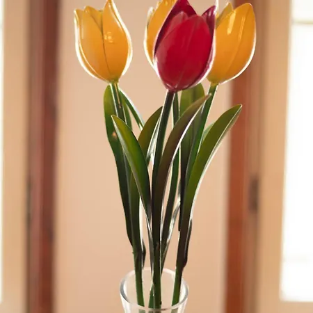 Lägenhet Urban22 - Urlaub Im Denkmal Quedlinburg