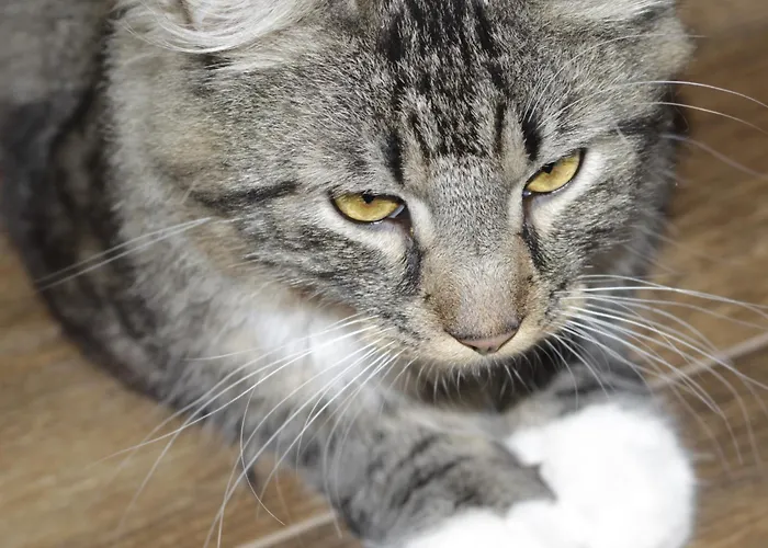 公寓 Urban22 - Urlaub Im Denkmal *