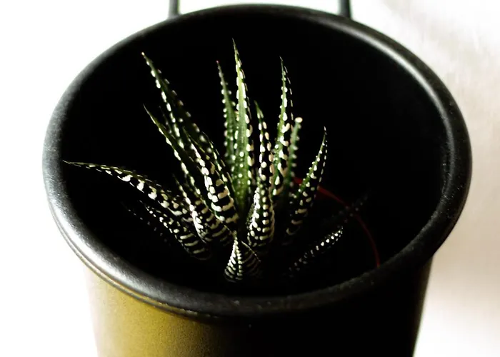 Apartamento Urban22 - Urlaub Im Denkmal