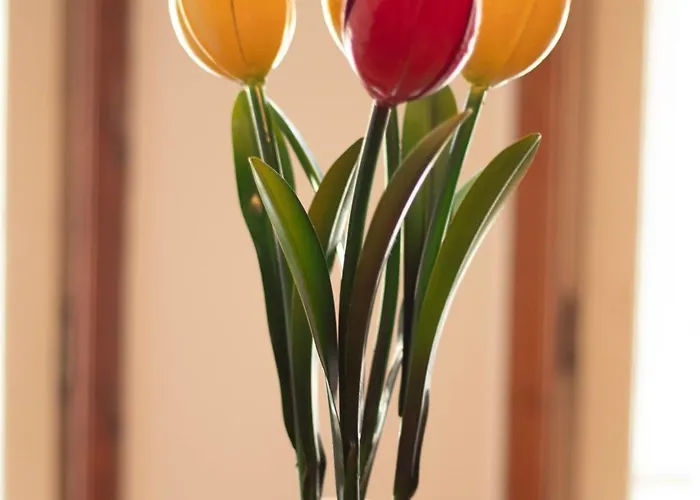 Apartamento Urban22 - Urlaub Im Denkmal Quedlinburg